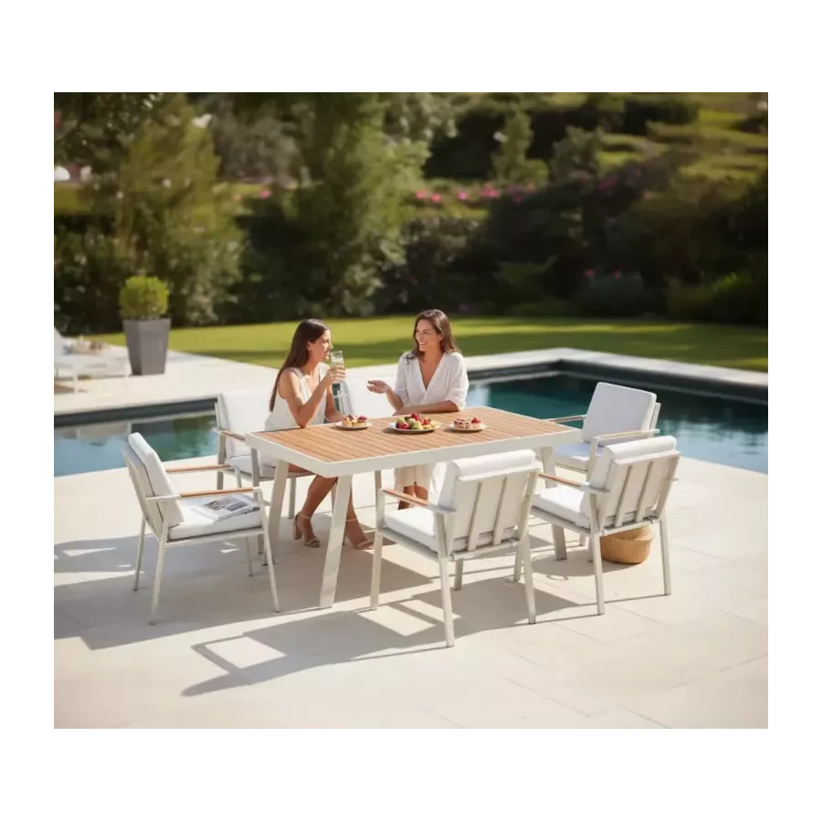 ensemble repas table et 8 fauteuils NOFI