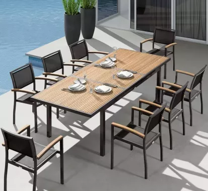 GRANDE TABLE EXTENSIBLE 12 CHAISES - LINTEK HECK HIGOLD