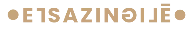 ARTISTE ELSA ZINGILE